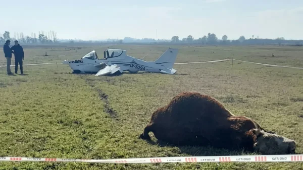 Avioneta dañada tras embestir a un toro durante un aterrizaje en Chivilcoy