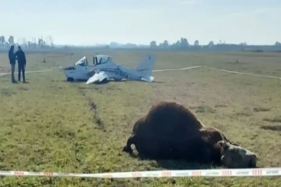 Avioneta dañada tras embestir a un toro durante un aterrizaje en Chivilcoy