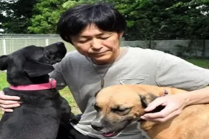 Refugio canino: el japonés que vendió su Ferrari y cambió el lujo por ladridos agradecidos