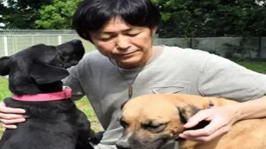 Refugio canino: el japonés que vendió su Ferrari y cambió el lujo por ladridos agradecidos
