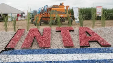 Gobierno elimina la Dirección Nacional del INTA