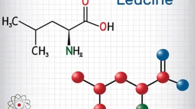 Leucina