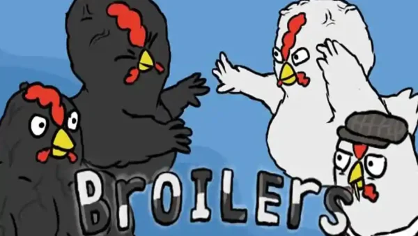 Broilers