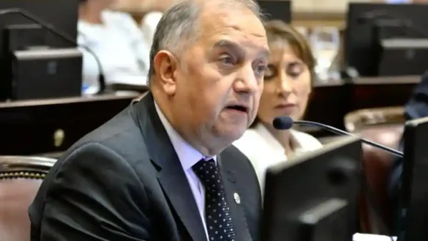 Carlos Linares en el Senado criticando a Manuel Adorni por uso del avión presidencial