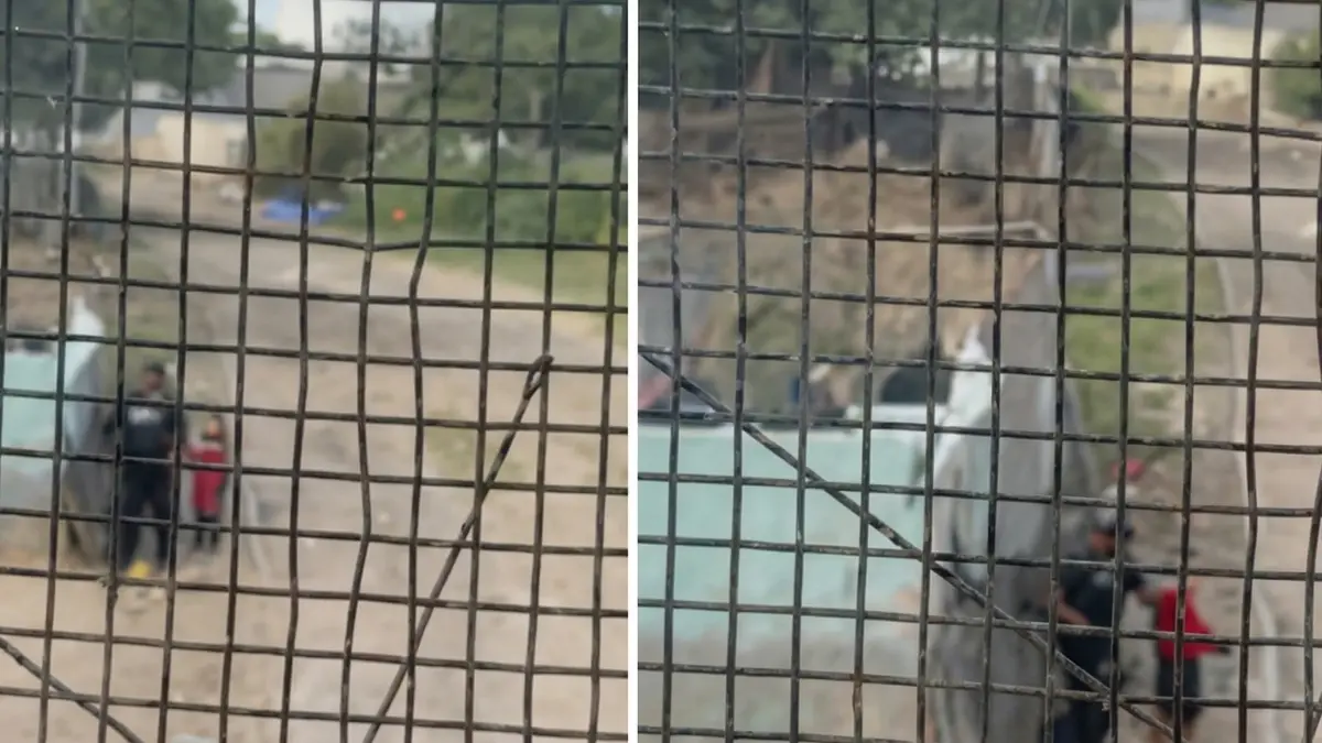 Efectivo de la Policía de Córdoba rescata a un niño de 3 años de las vías del tren.