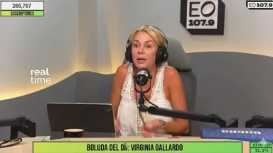 Yanina Latorre durante su descargo contra Virginia Gallardo por el proyecto sobre los Martín Fierro