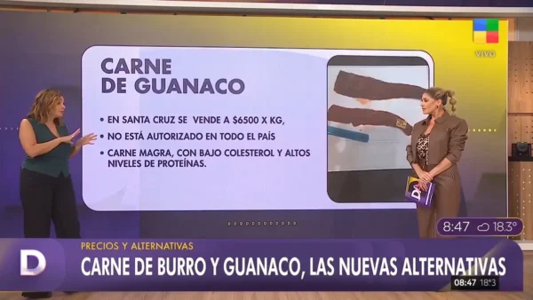 Carne de guanaco en Argentina presentada como alternativa alimentaria