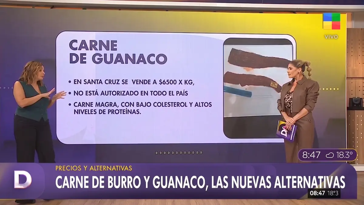 Carne de guanaco en Argentina presentada como alternativa alimentaria