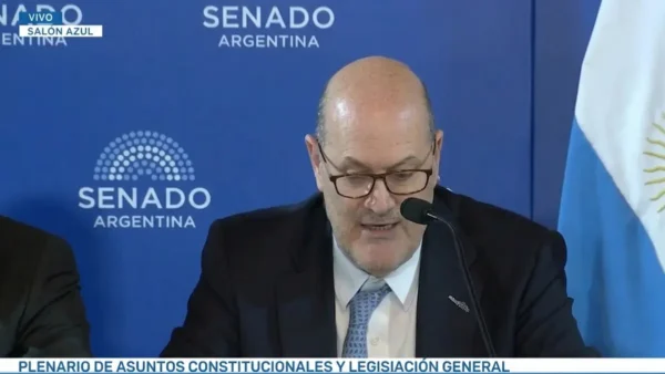 Federico Sturzenegger durante un debate en el Senado argentino