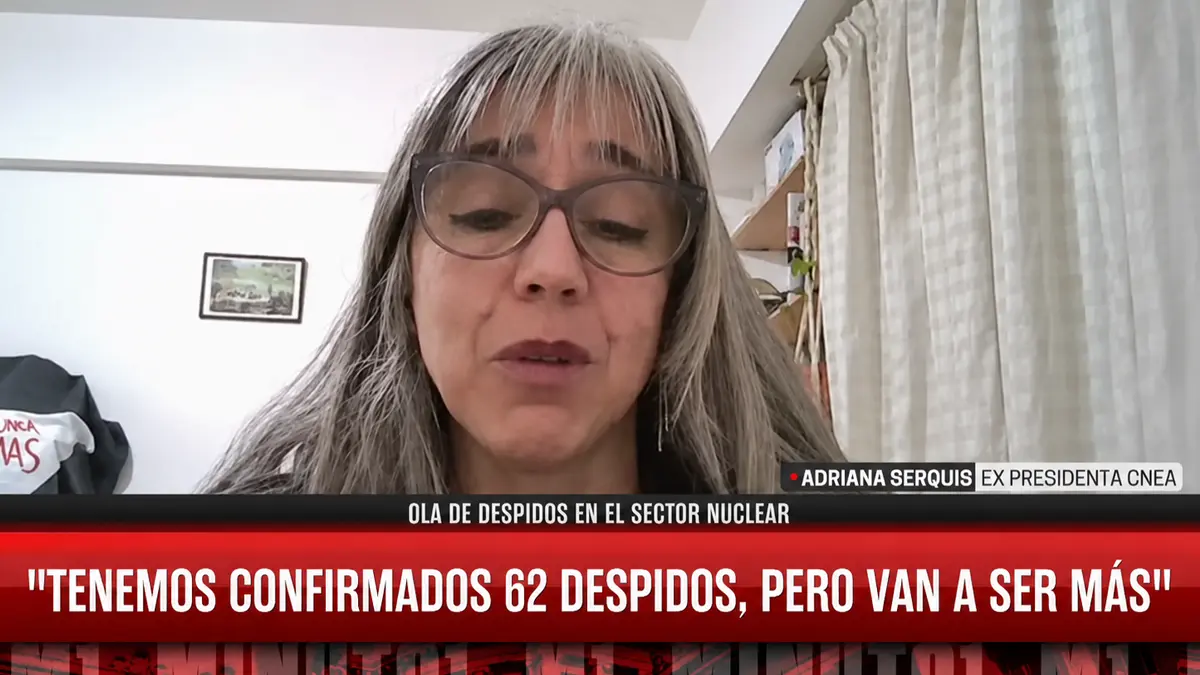 Adriana Serquis durante sus declaraciones sobre los despidos en la Comisión Nacional de Energía Atómica.