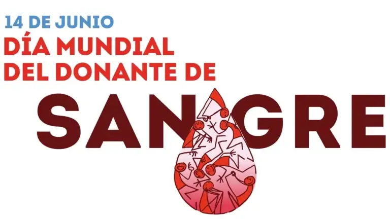 Día Mundial del Donante de Sangre: quiénes pueden donar y cada cuánto hacerlo