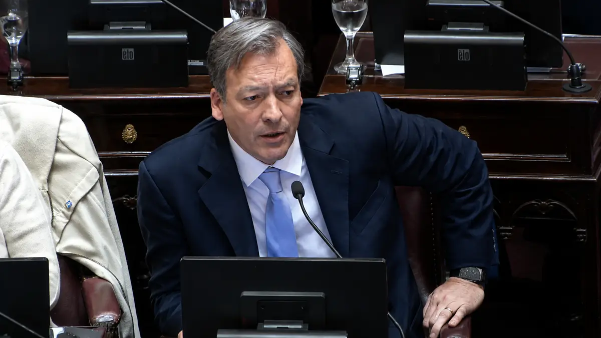 Martín Soria contra Milei durante una sesión del Senado en la que cuestionó las denuncias de golpes de Estado.
